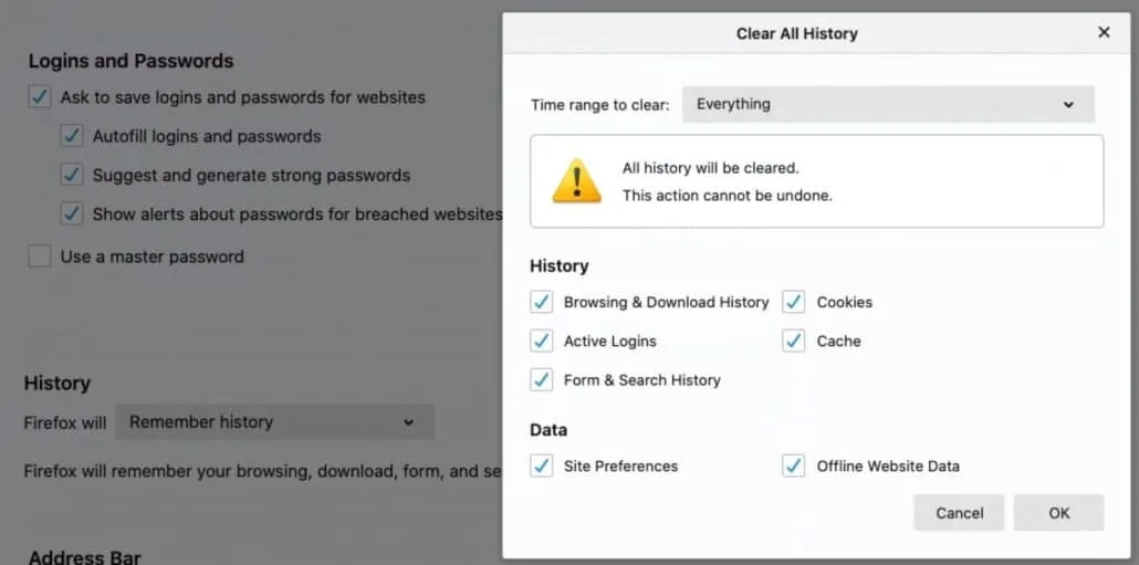 Cleaning cookies and history in firefox